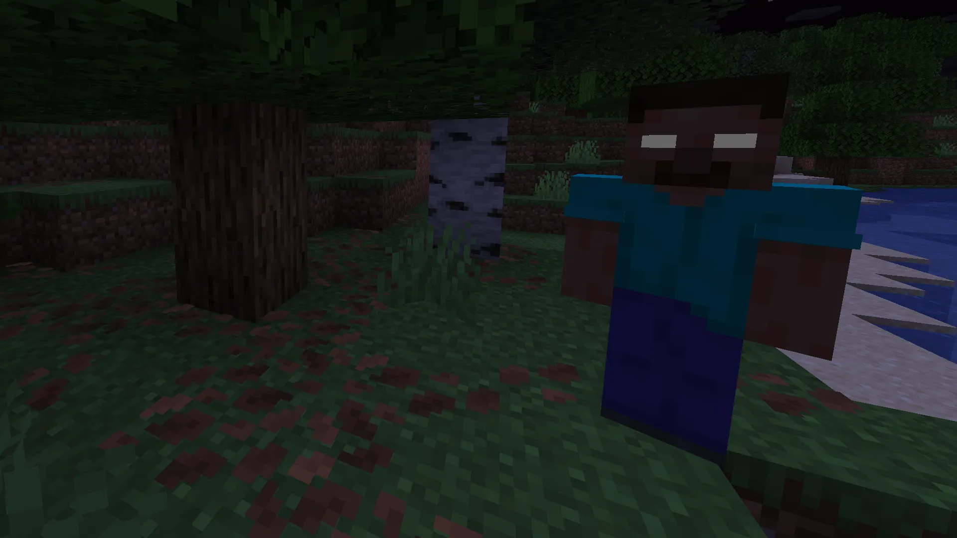 The Classic Error, Дата-паки, Minecraft