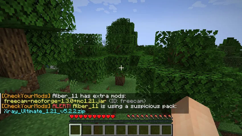CheckYourMods — скриншот 1 (Моды, Minecraft)