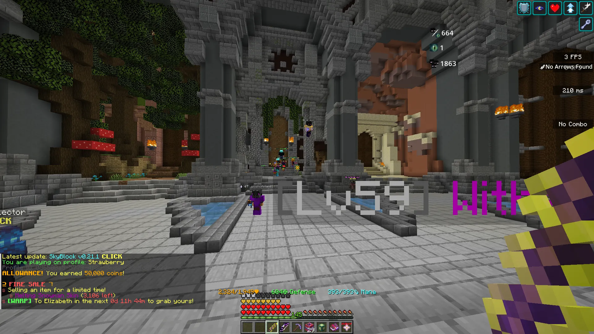 Hypixel Skyblock Simple Additions, Текстуры, Minecraft