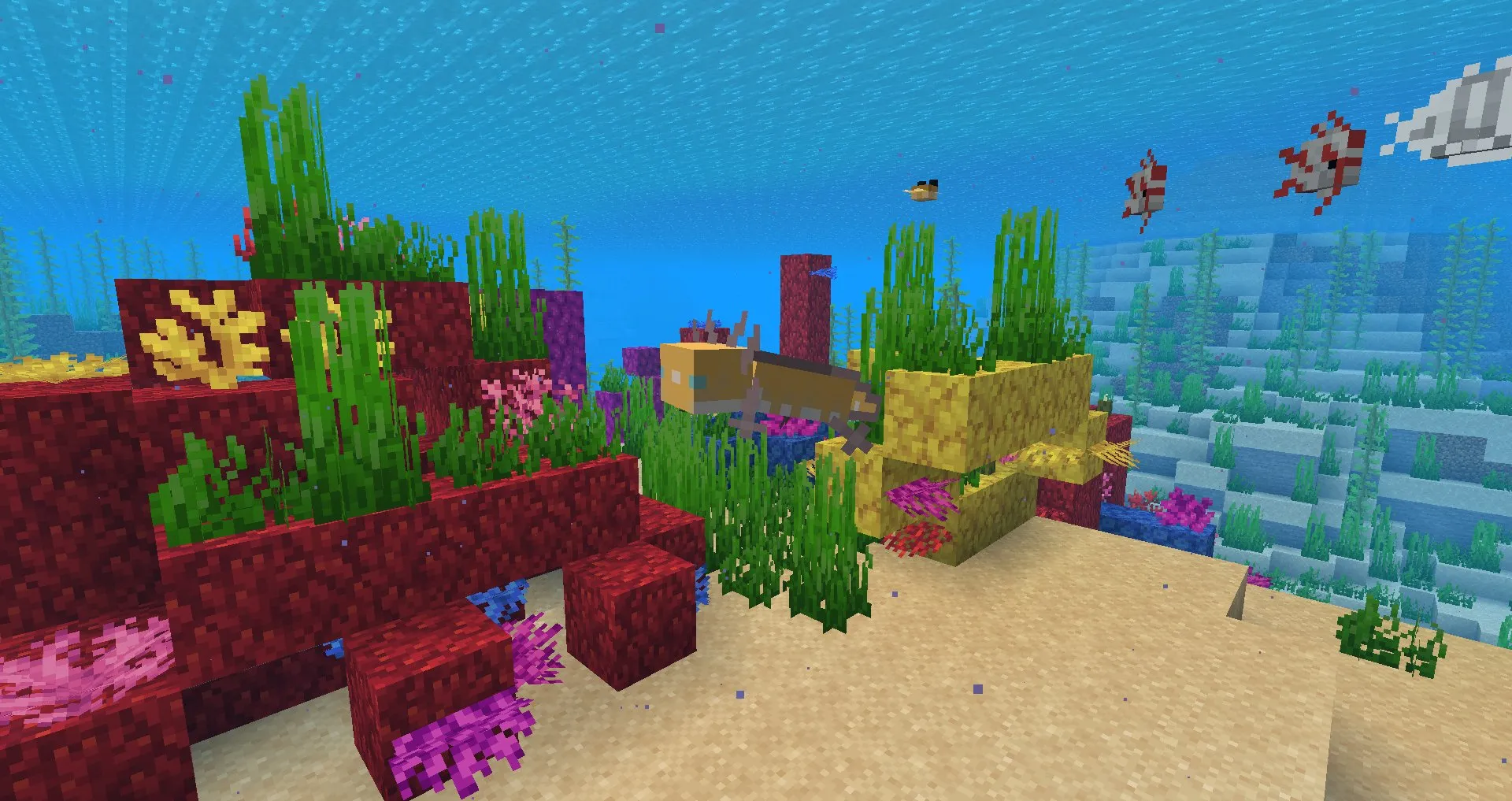 Holo Axolotl (require Optifine), Текстуры, Minecraft