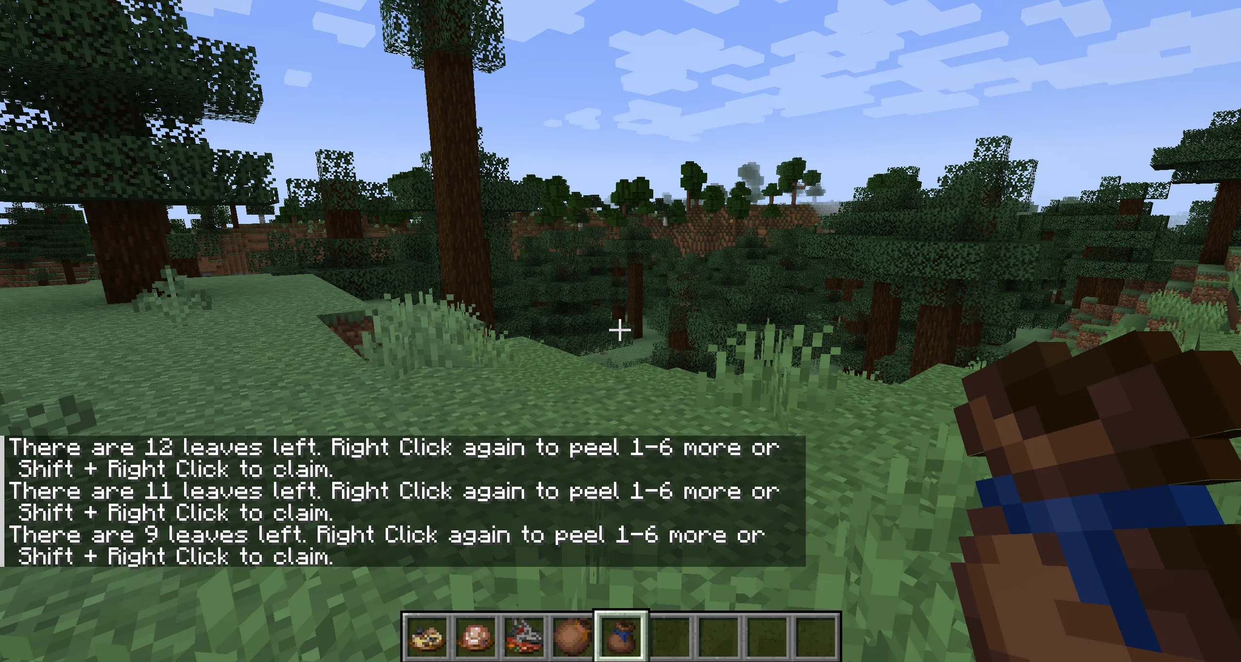 RDU: Raccoon's Dreamfire Utilities, Моды, Minecraft