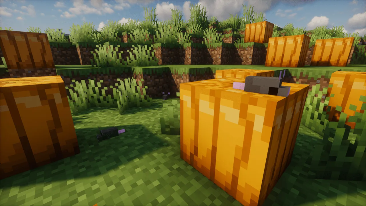 Rat Attack, Моды, Minecraft