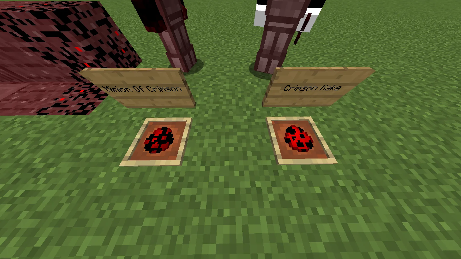 The Dark Blood, Моды, Minecraft