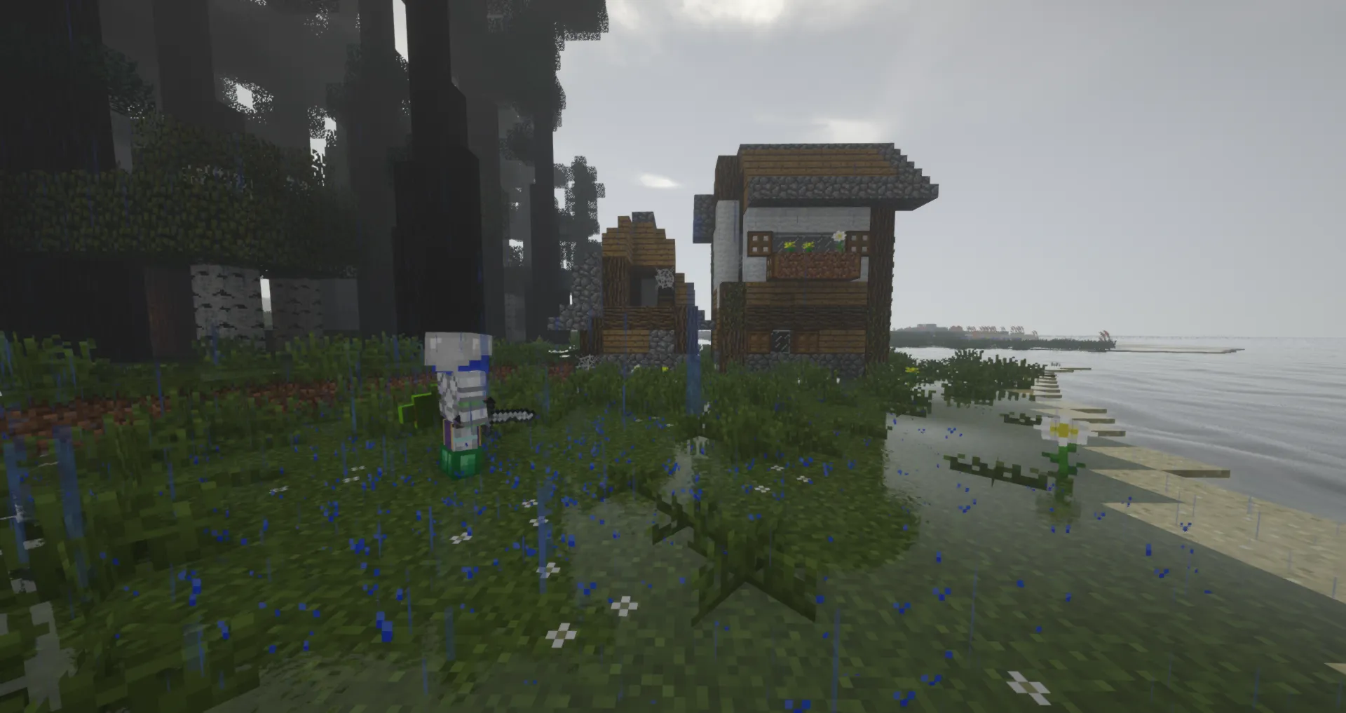 A Poor Soul's Journey — скриншот 8 (Модпаки, Minecraft)