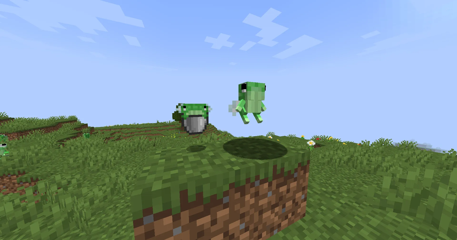 Some Frogs, Моды, Minecraft