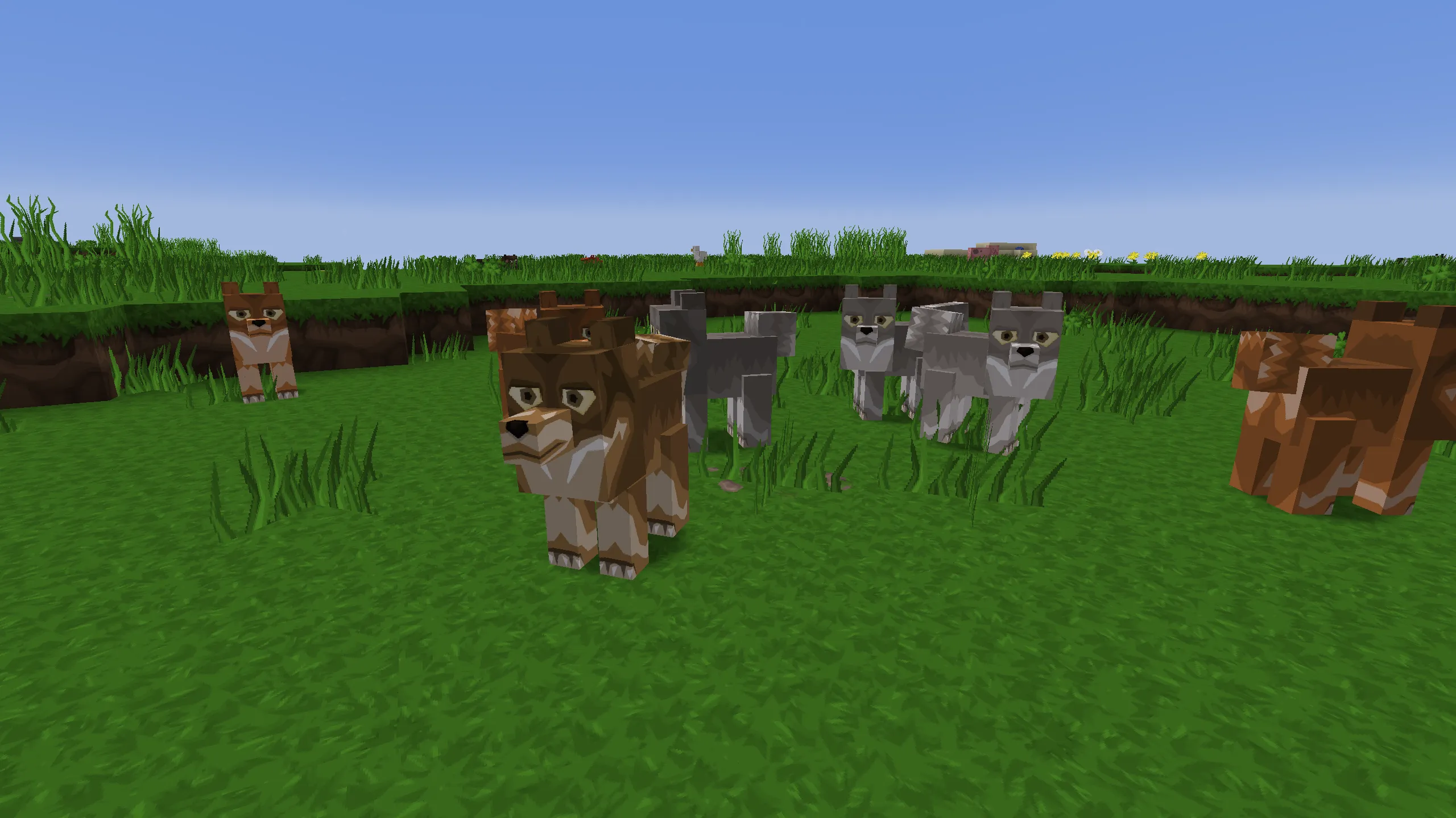 Quark BDCraft — скриншот 3 (Текстуры, Minecraft)
