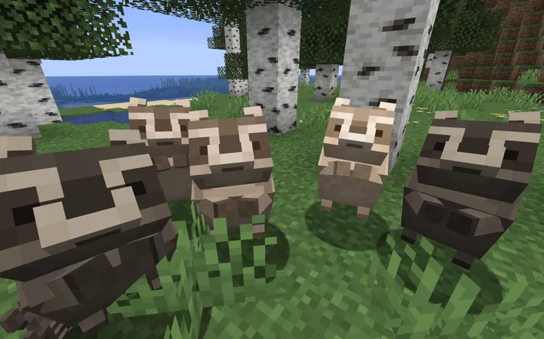 Raccoons & Co. — скриншот 1 (Моды, Minecraft)