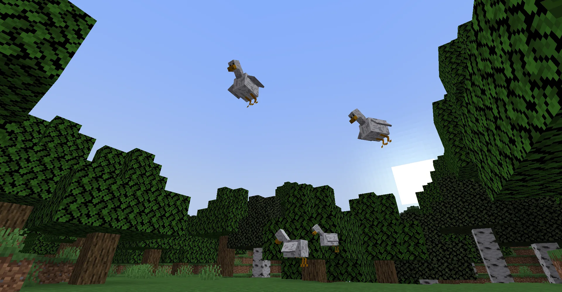 What the duck!, Моды, Minecraft