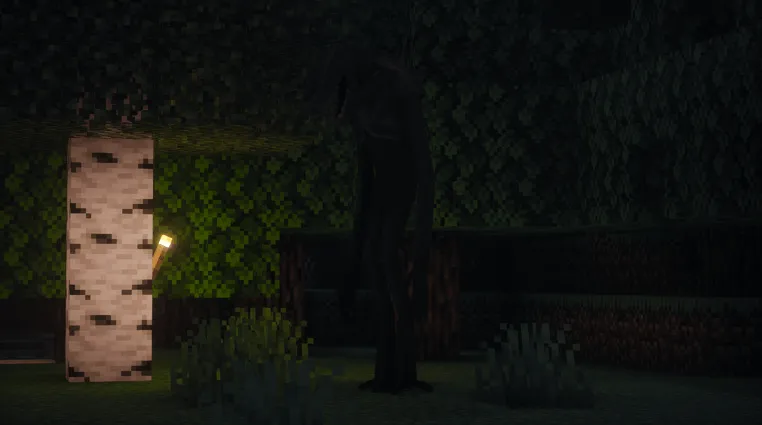 The Blind Wanderer, Моды, Minecraft