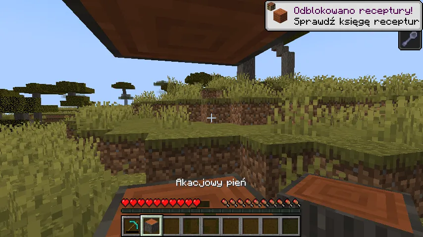 ToolEndEksjaustion, Моды, Minecraft