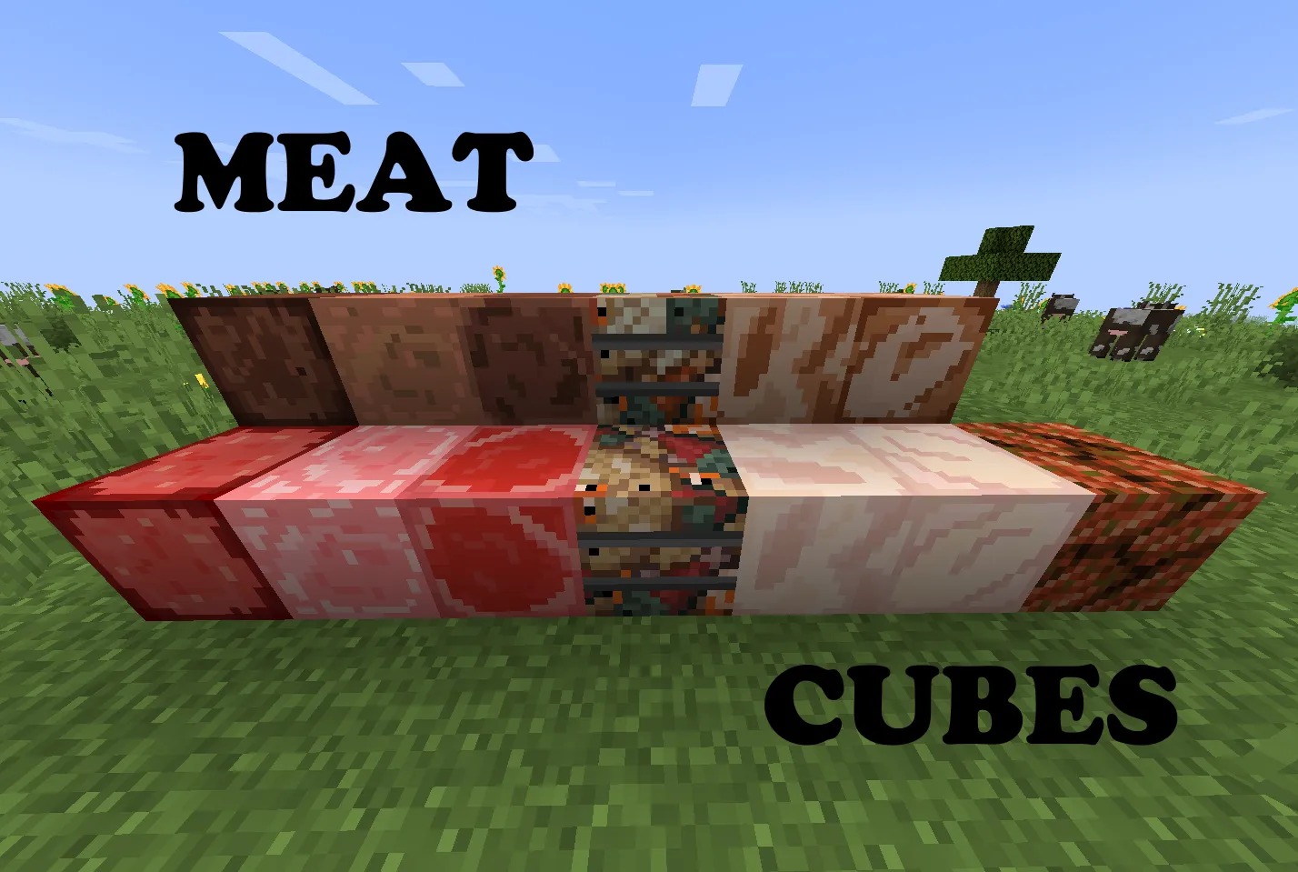 Meat Cubes, Моды, Minecraft