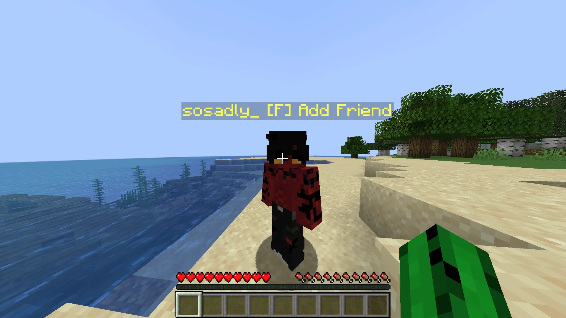 SFriends — скриншот 2 (Моды, Minecraft)