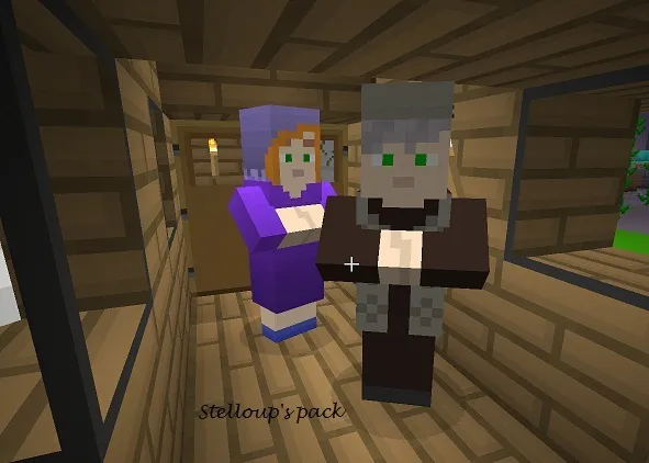 Stelloup's pack, Текстуры, Minecraft