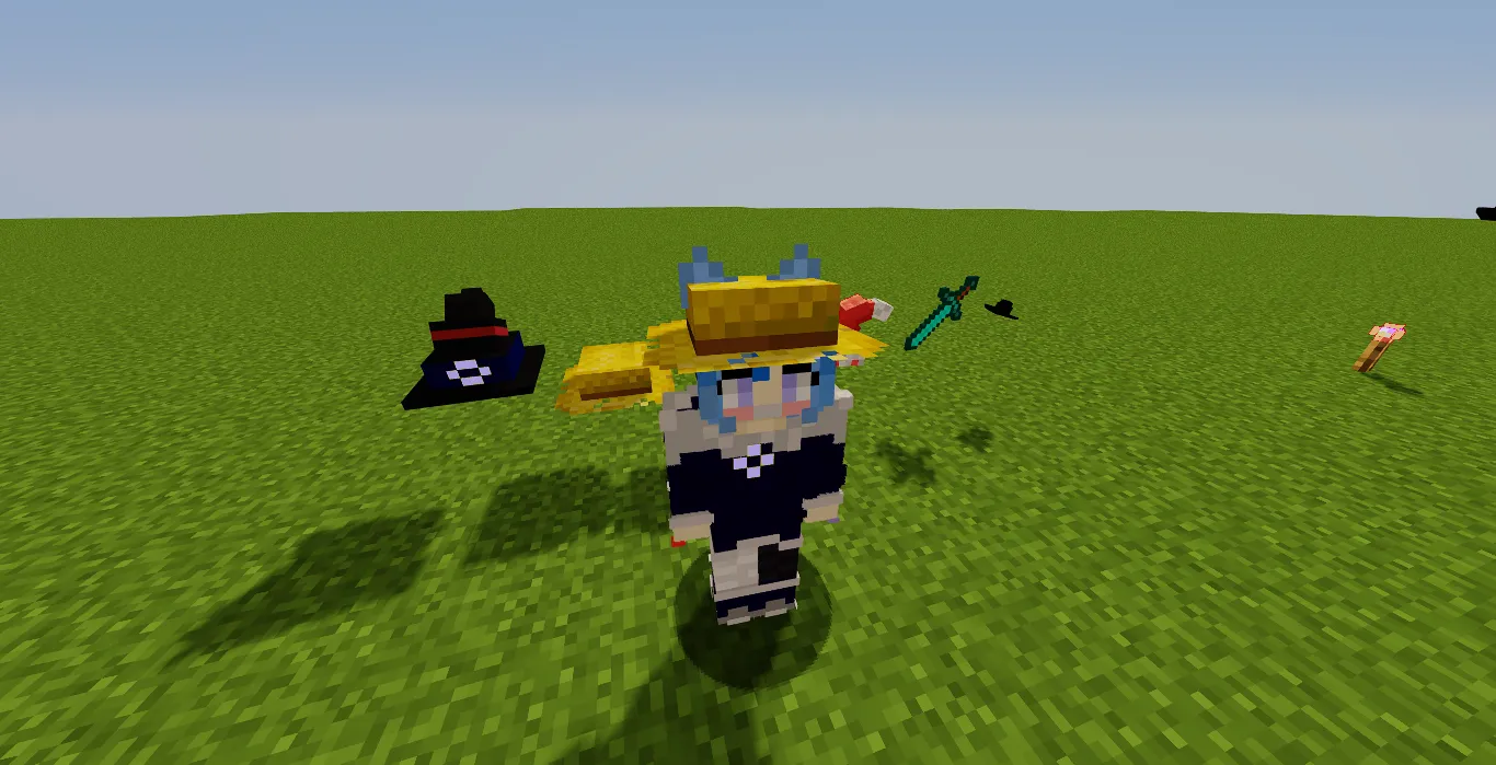 Custom Random Hats, Текстуры, Minecraft