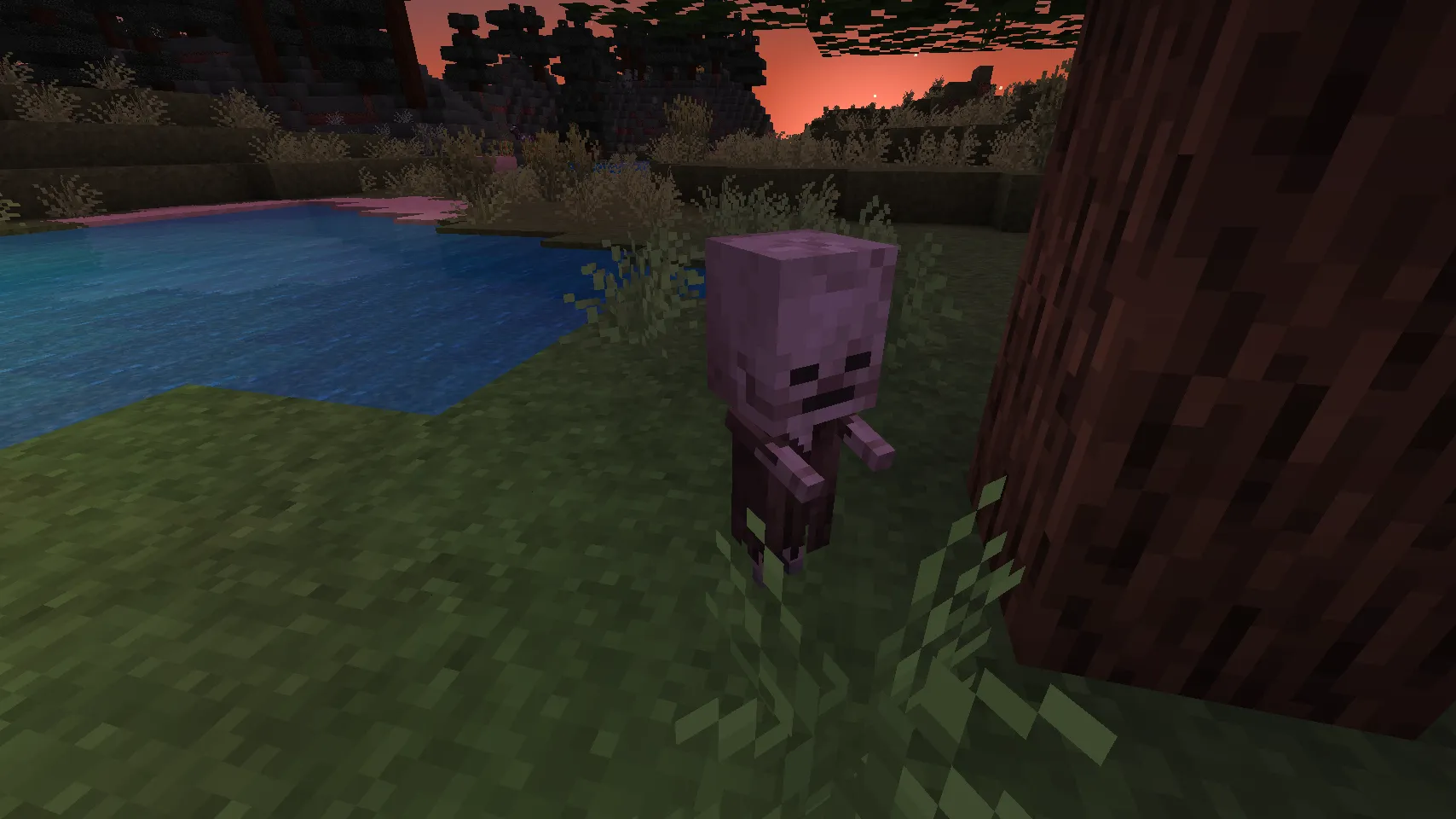 Skeleton Villagers, Текстуры, Minecraft
