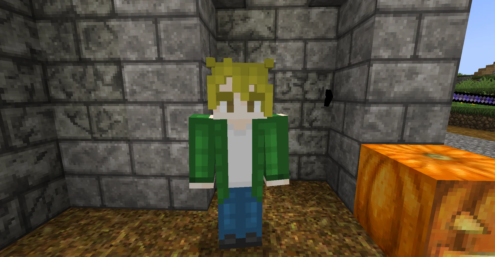 Dueling Ascension Custom NPC Pack, Текстуры, Minecraft