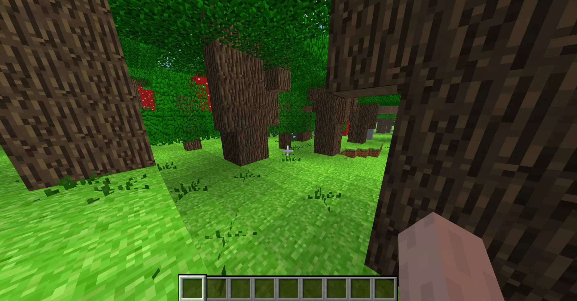 Early Beta Minecraft, Текстуры, Minecraft