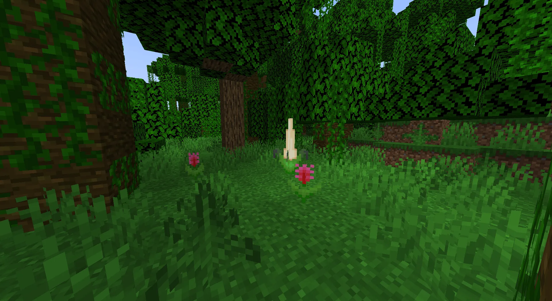 Florice, Моды, Minecraft