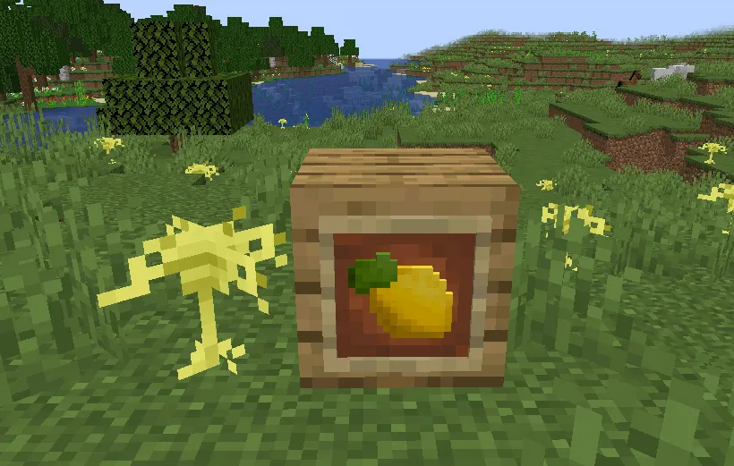 Sour Patch Kids, Моды, Minecraft