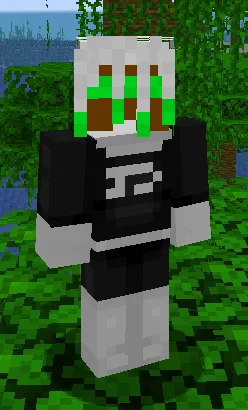 Phantom Accessories, Моды, Minecraft