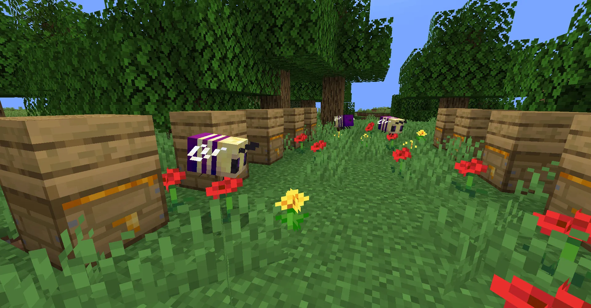 NonBEEnary, Текстуры, Minecraft