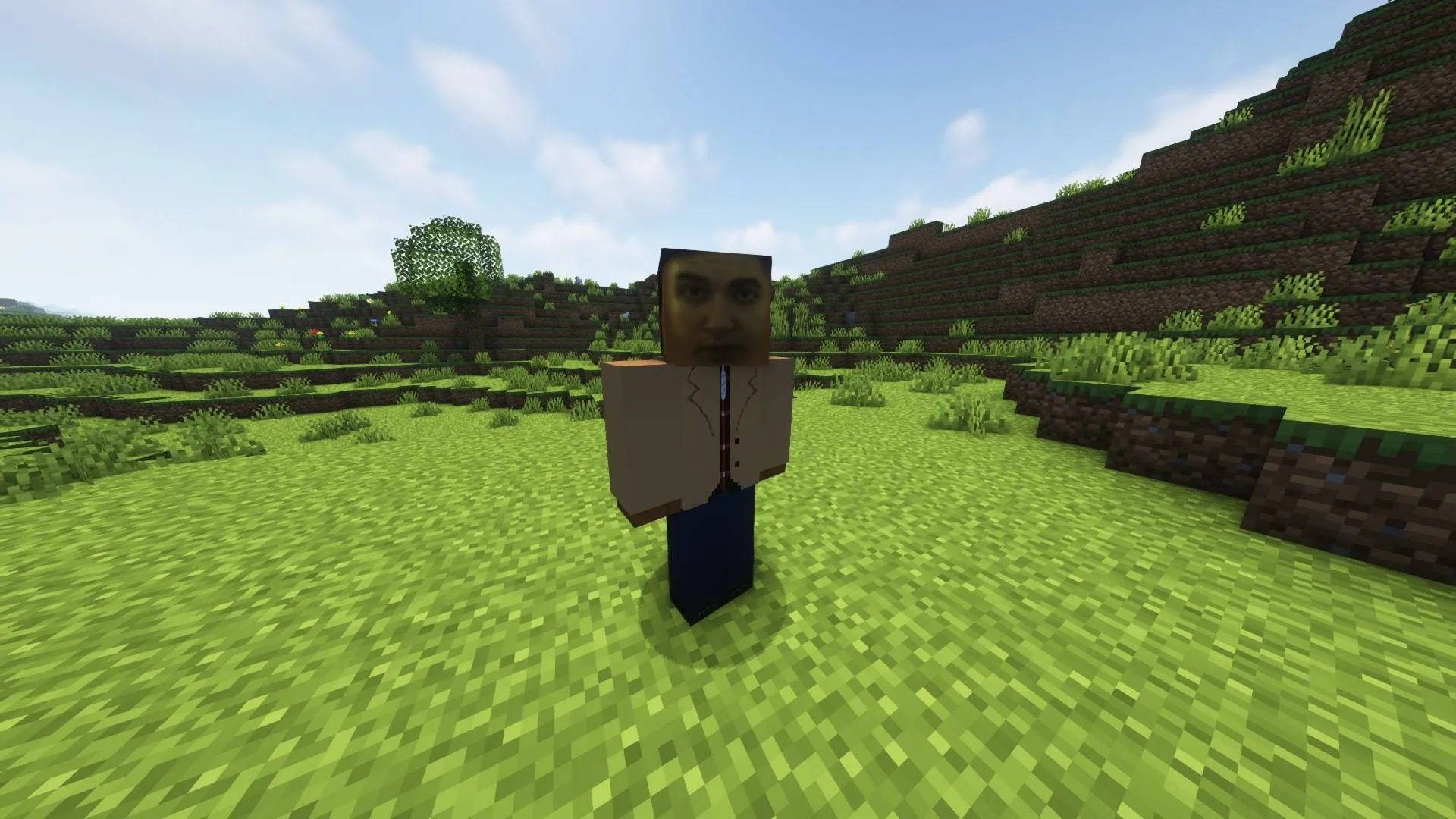 VasiCraft — скриншот 3 (Моды, Minecraft)