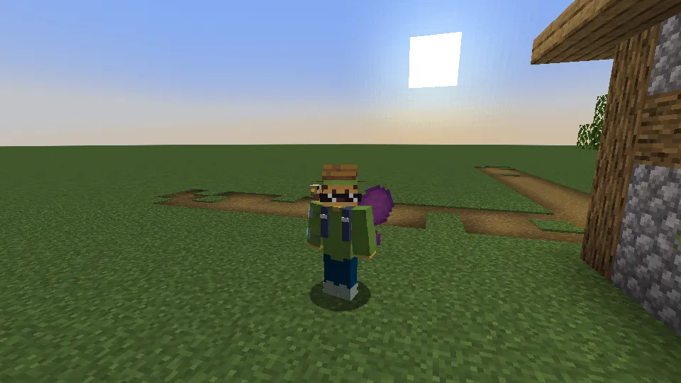 OpenMCSkins, Моды, Minecraft