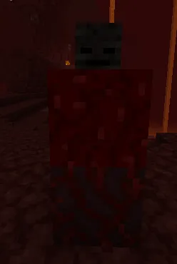 Nether Lord, Моды, Minecraft