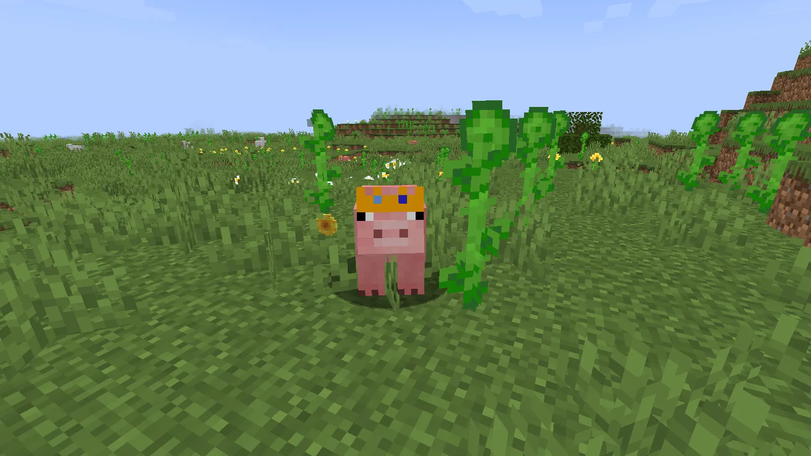 Techno pig, Текстуры, Minecraft