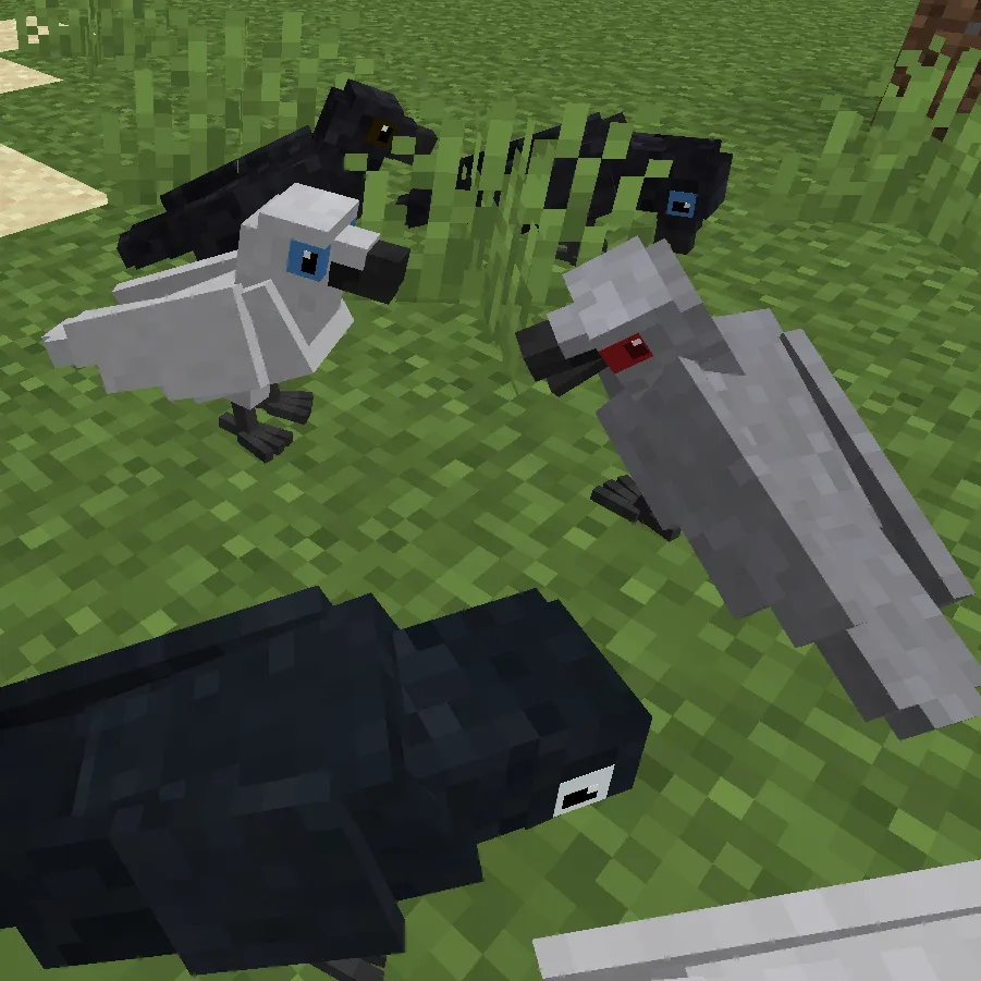 Animal Garden - Common Raven, Моды, Minecraft