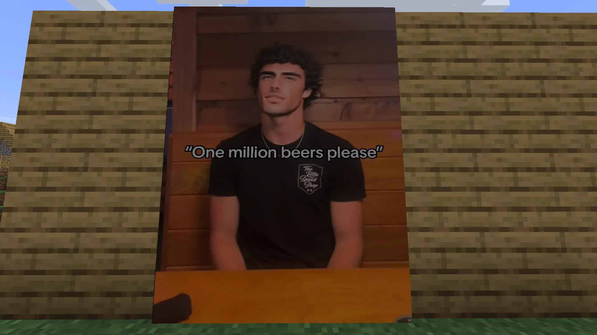 Kőbambi, Текстуры, Minecraft