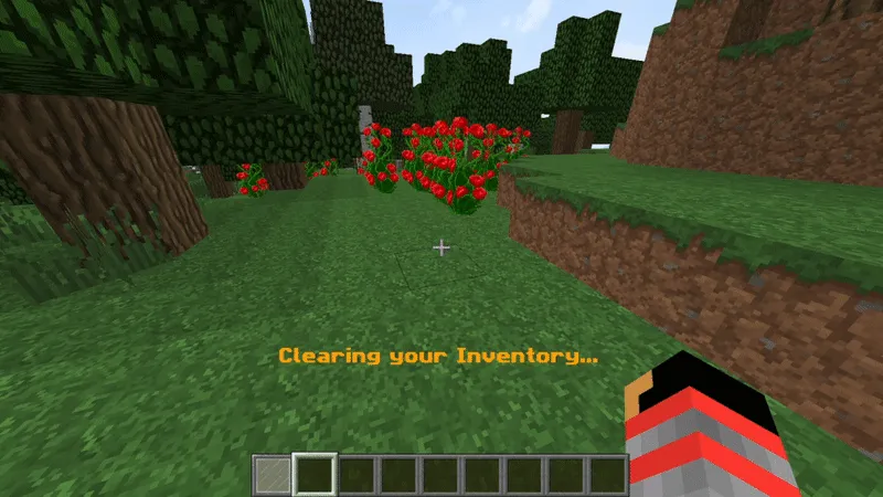 AnimatedInventory, Плагины, Minecraft
