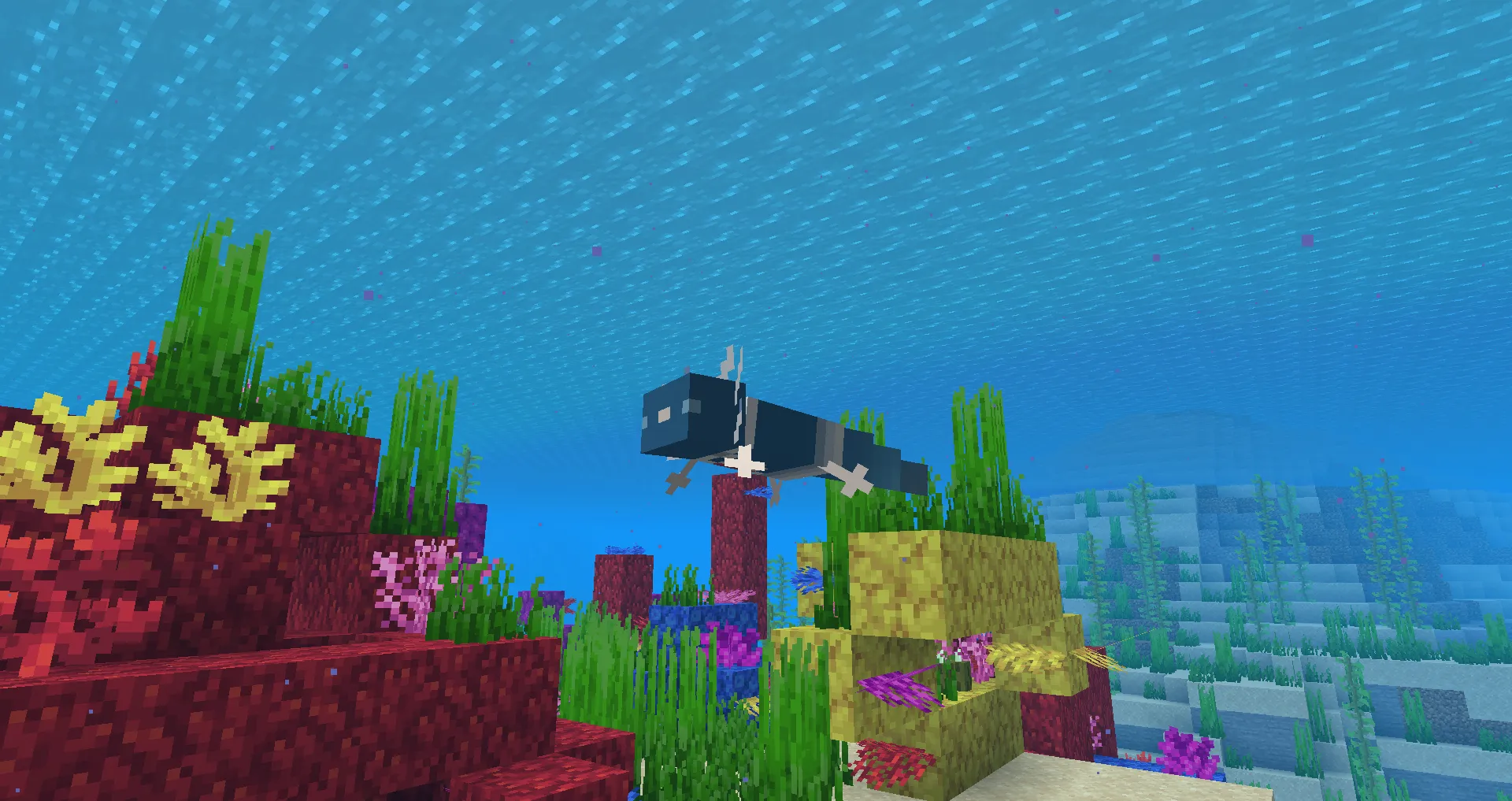 Holo Axolotl (require Optifine), Текстуры, Minecraft