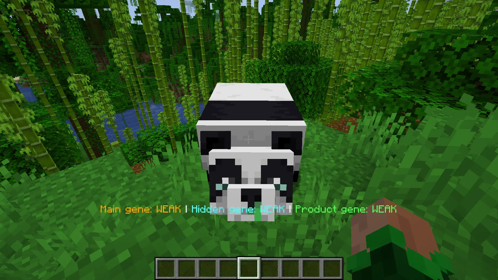 Panda Info, Моды, Minecraft