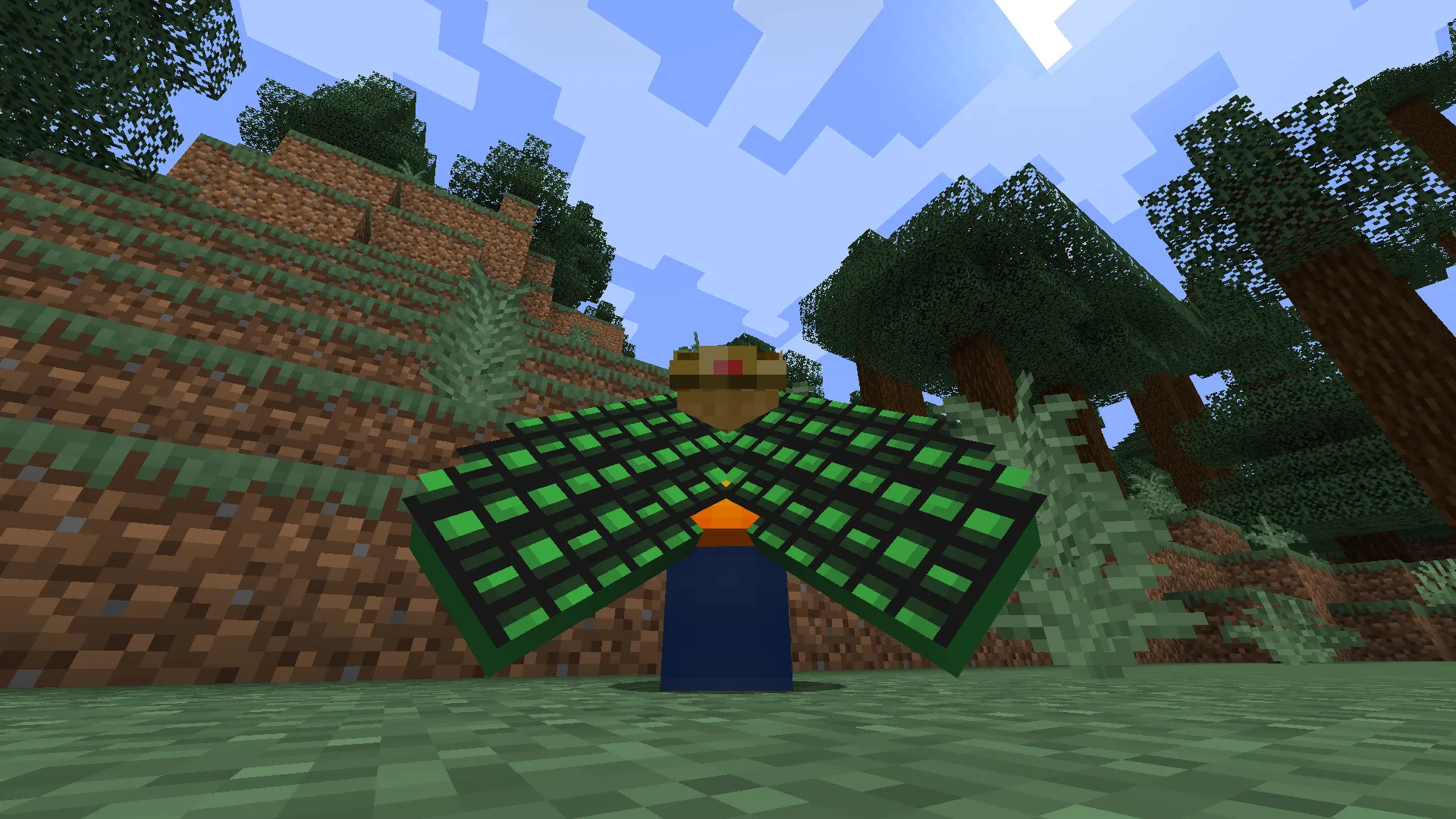 Cosmetic Elytra, Текстуры, Minecraft