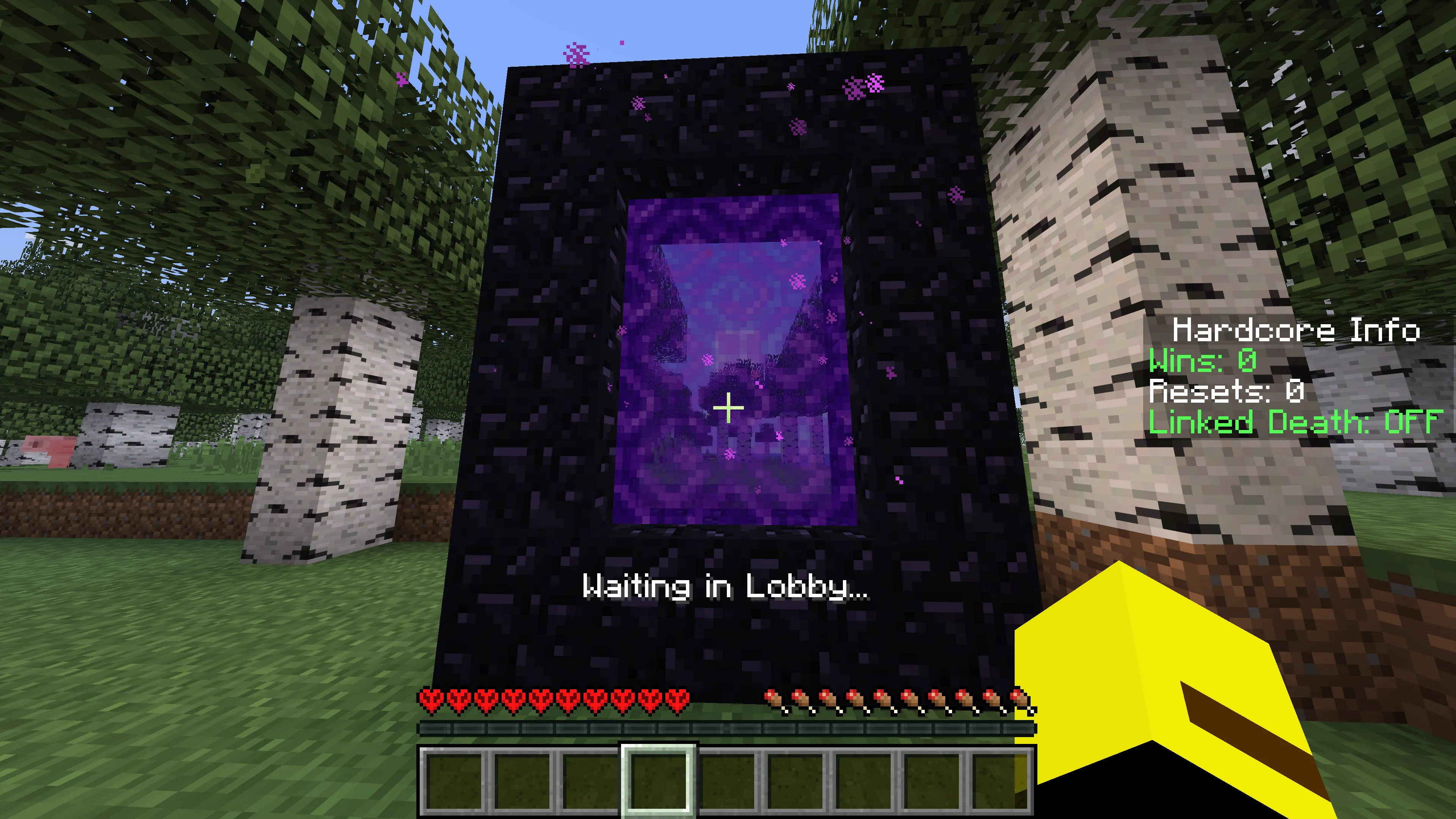 HardcoreRuns — скриншот 1 (Плагины, Minecraft)