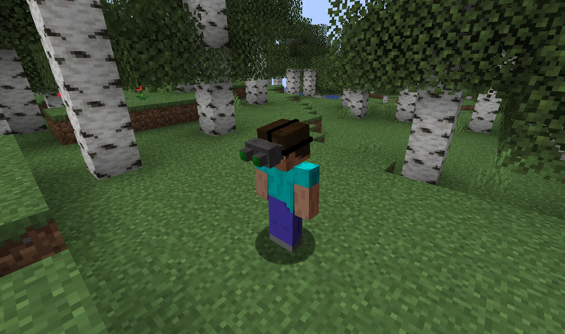 Night Vision Device, Моды, Minecraft