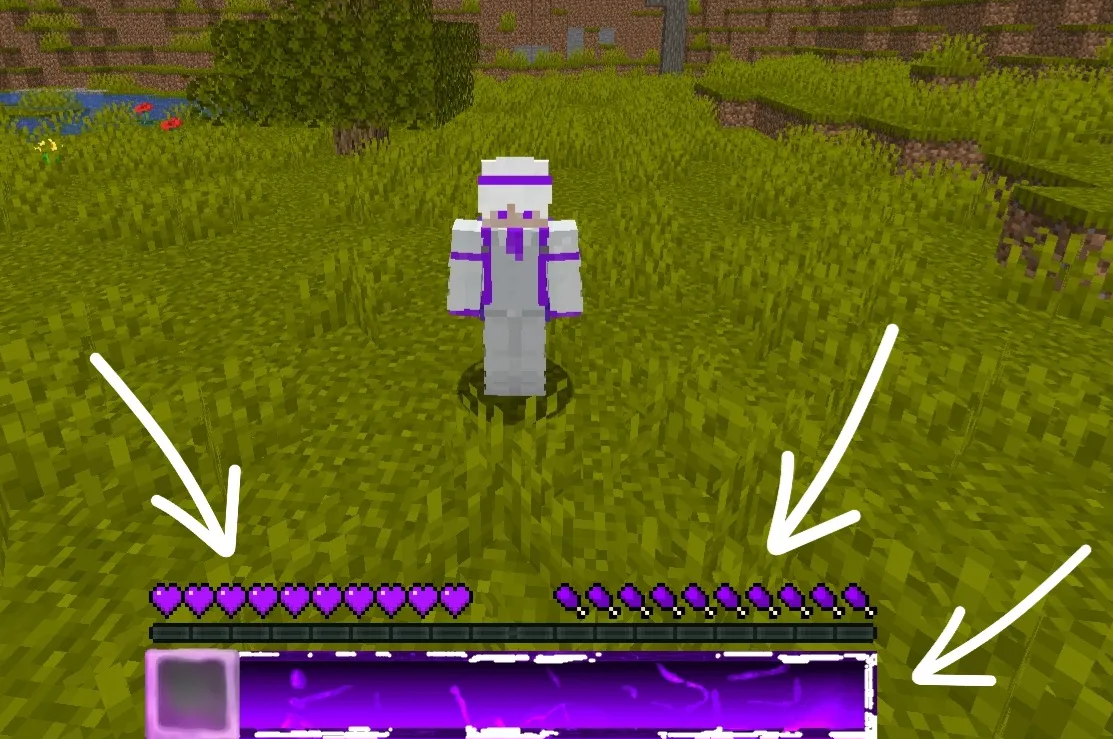 EnderZag, Текстуры, Minecraft