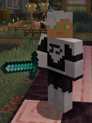 Phantom Accessories, Моды, Minecraft
