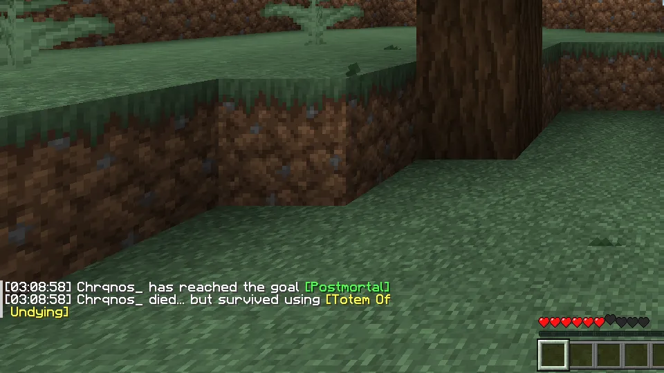 Death Totem Message, Текстуры, Minecraft