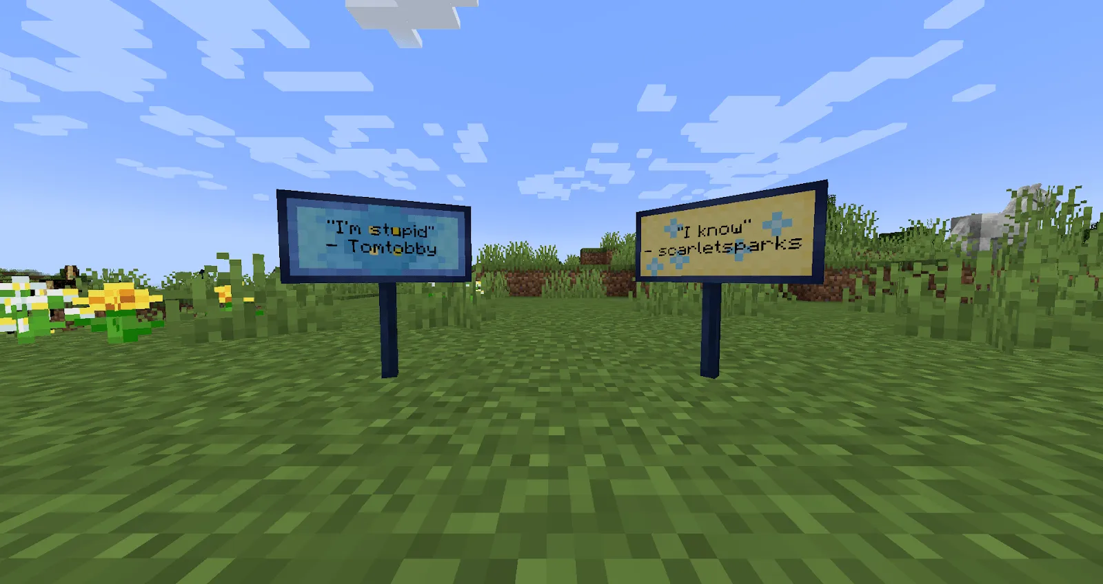 Basically Signs — скриншот 3 (Моды, Minecraft)