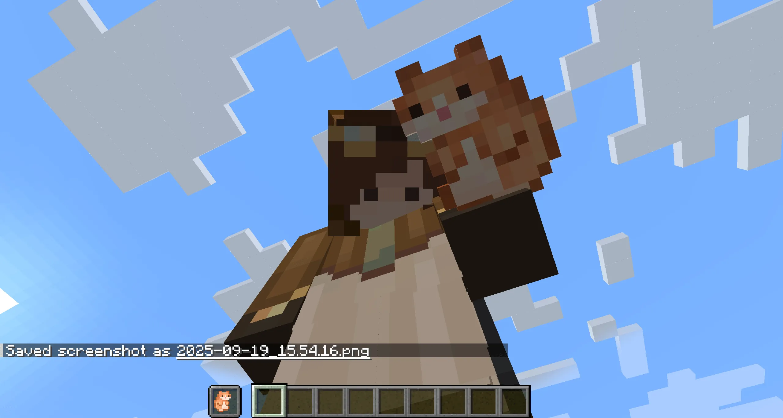 Hamster of Undying, Текстуры, Minecraft