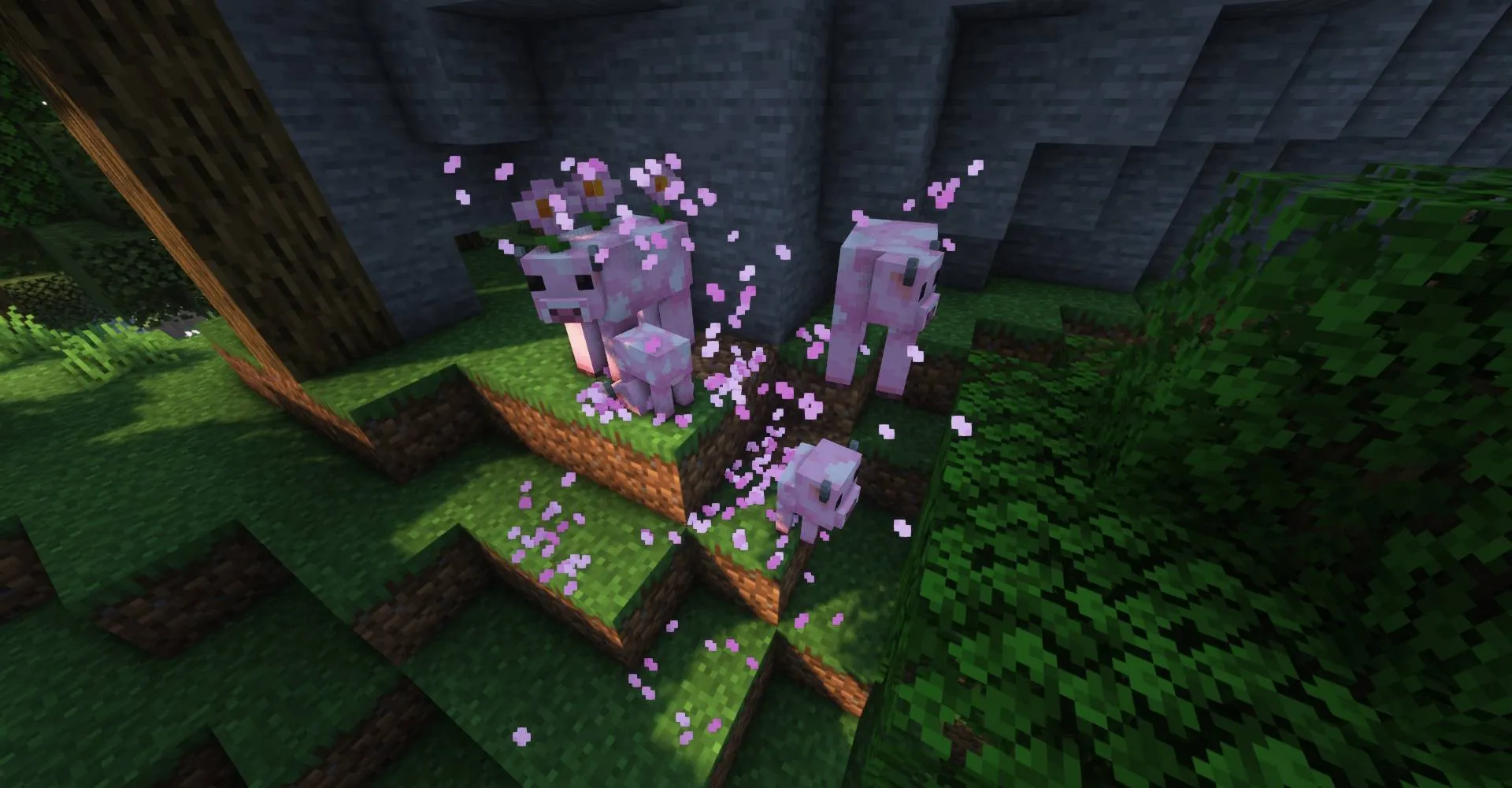 Dawn Blossoms Plucked at Dusk, Моды, Minecraft