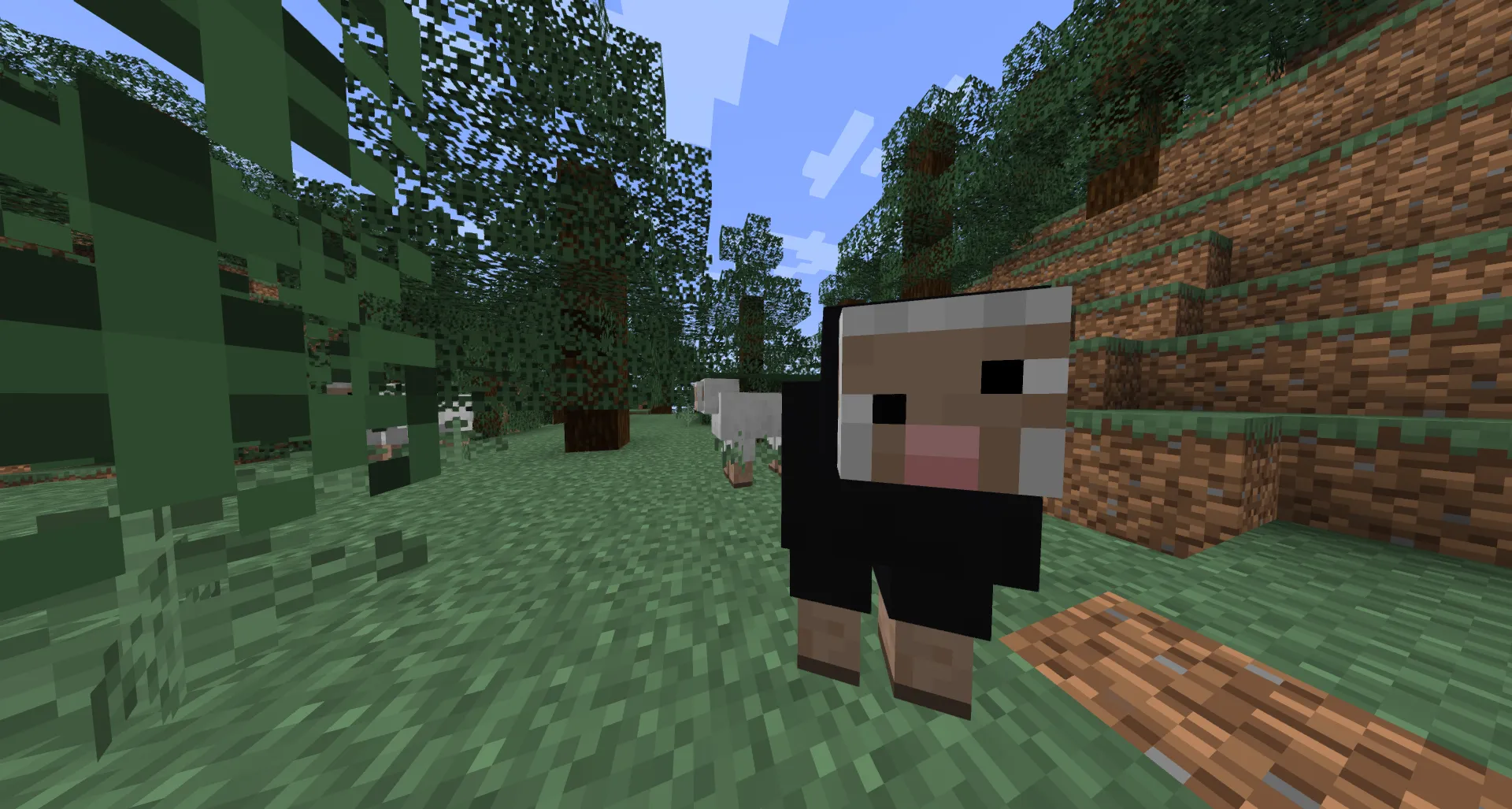 Derpify, Текстуры, Minecraft