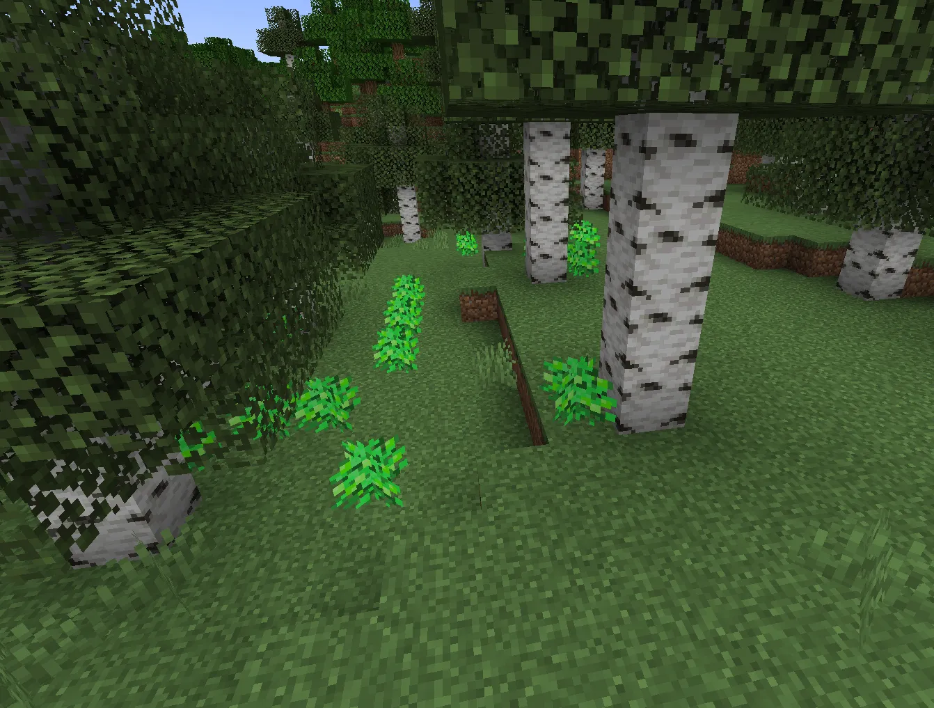 Goat's Fruit, Моды, Minecraft