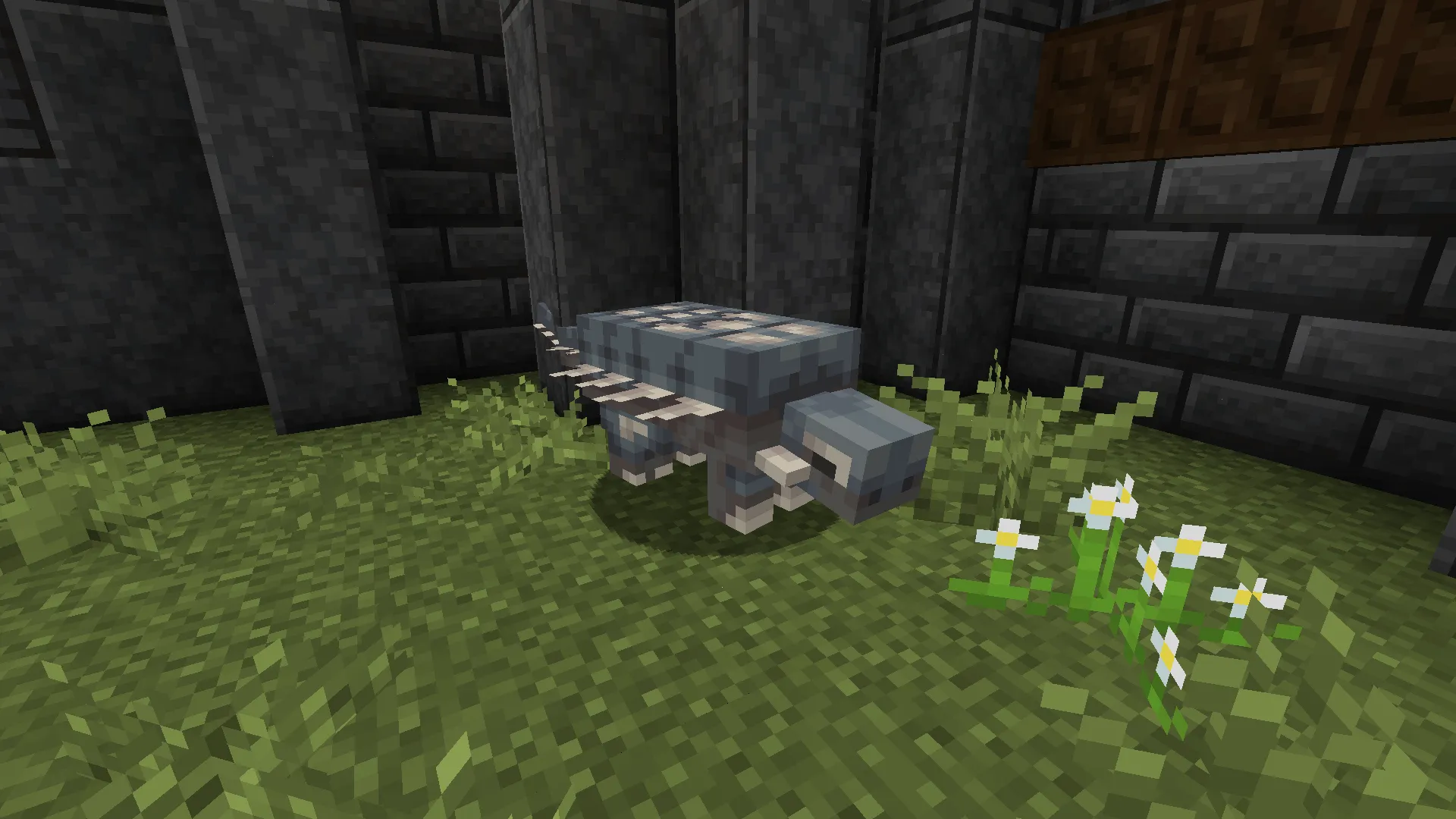 Dinosauria: A World Forgotten — скриншот 1 (Текстуры, Minecraft)