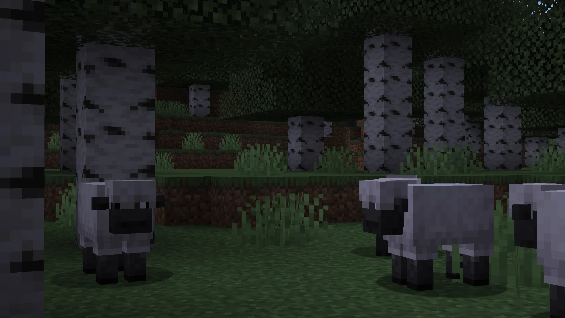 Mixed Litter, Моды, Minecraft