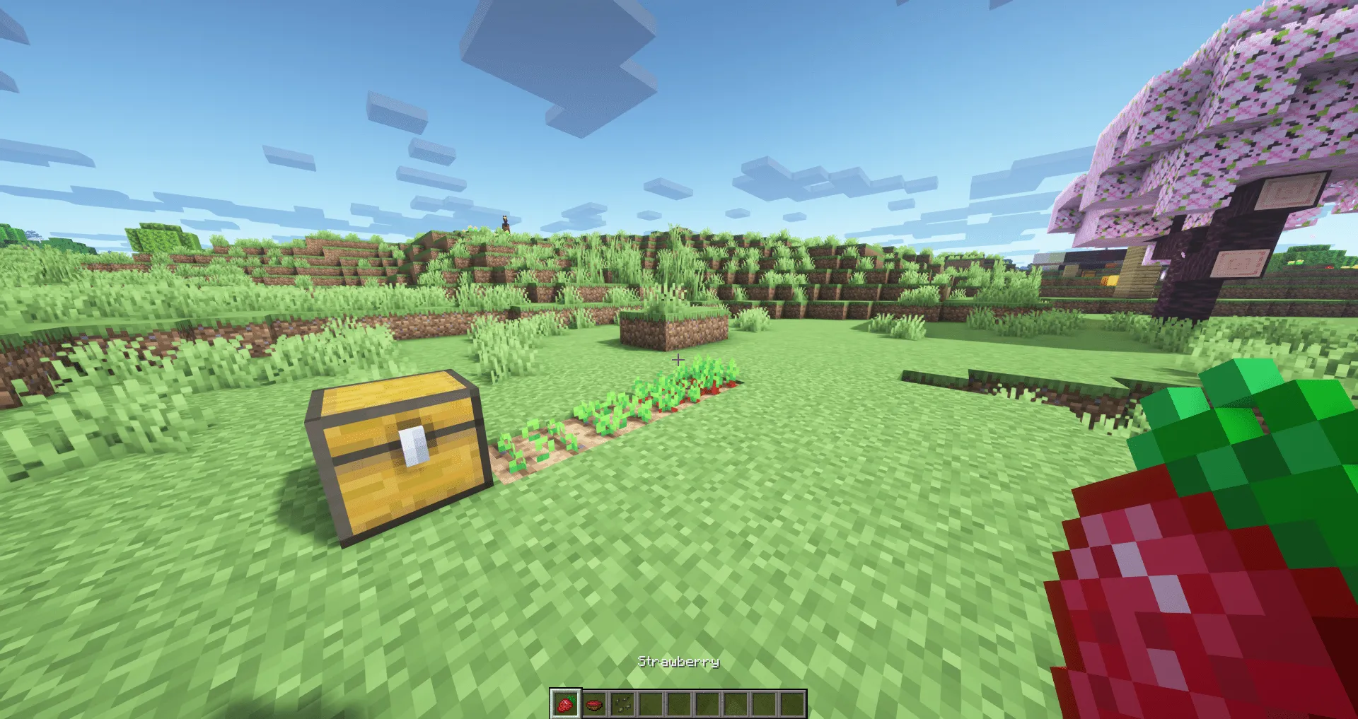 Strawberries!, Текстуры, Minecraft