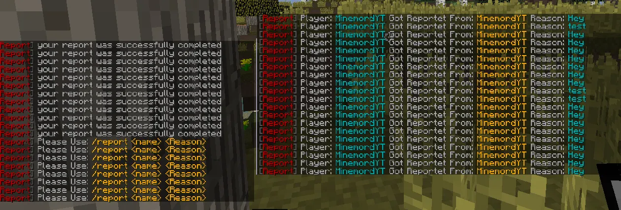 FastReport — скриншот 1 (Плагины, Minecraft)