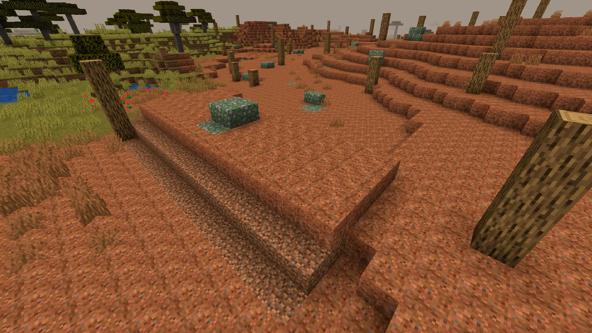 Radiated Infection, Моды, Minecraft